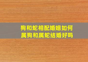 狗和蛇相配婚姻如何 属狗和属蛇结婚好吗